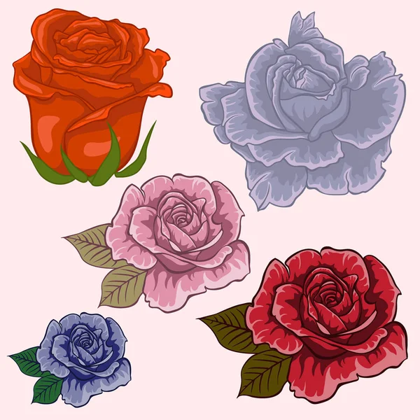 Set de flores. Flores de rosas aisladas. Set de rosas. Rojo, rosa, azul, púrpura, rosas violetas — Vector de stock