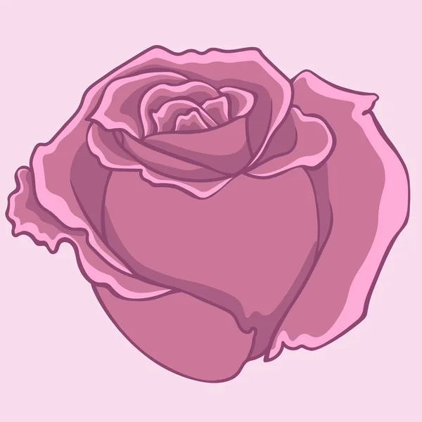 핑크 로즈입니다. 격리 된 꽃입니다. 격리 된 로즈 — 스톡 벡터