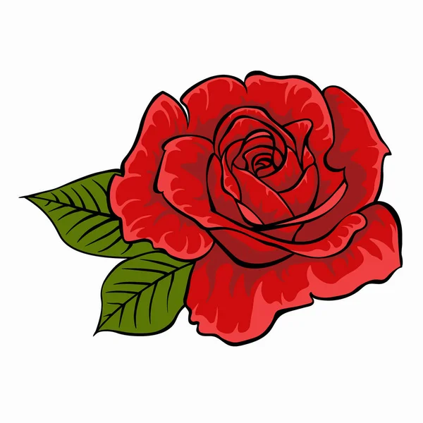 Rosa roja. Flor aislada sobre fondo blanco. — Vector de stock