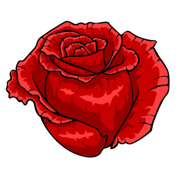 Röd ros knopp. Isolerade blomma på vit bakgrund. — Stock vektor