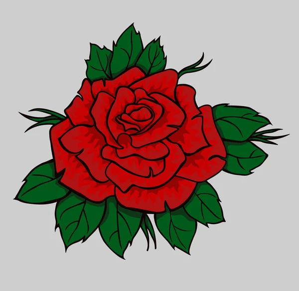Красная роза с зелеными листьями. Изолированный цветок — стоковый вектор