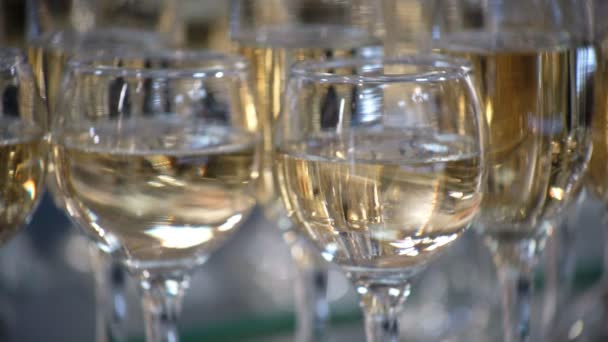 Verres de champagne — Video