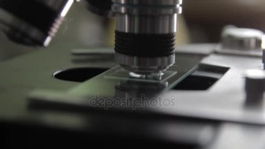 Mikroskop Laboratuvar analiz