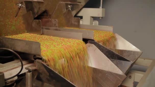 Chemische productie van Pellets — Stockvideo