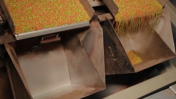 Chemische productie van Pellets — Stockvideo