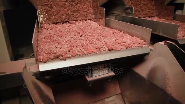 Produzione chimica di pellet — Video Stock