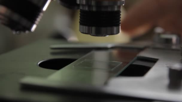 Analisi di laboratorio al microscopio — Video Stock