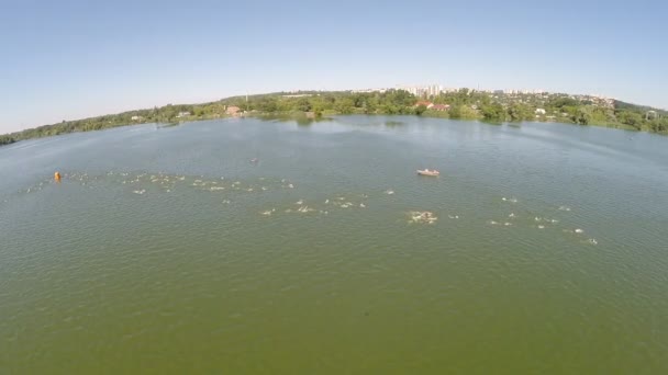 Deportes Natación Competencia — Vídeos de Stock