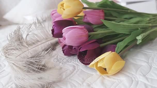 Яркие разноцветные тюльпаны — стоковое видео