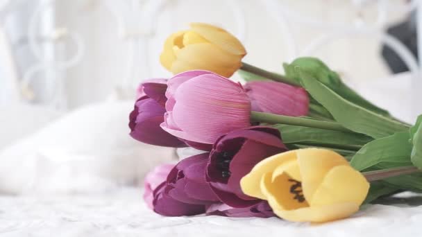 Bright Multicolored Flowers Tulips — Stock Video