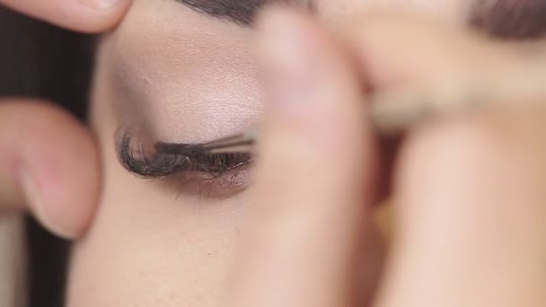 Ein professionelles Make-up machen — Stockvideo