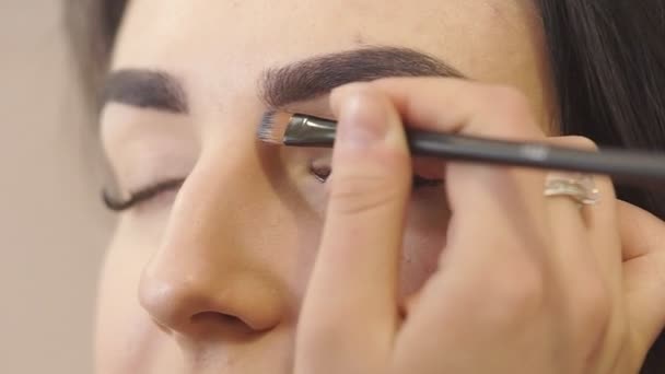 Göra en professionell Make-up — Stockvideo