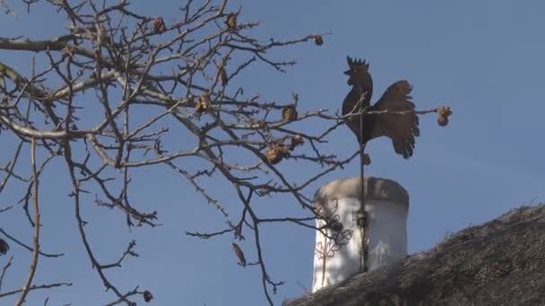 Oude windwijzer op het dak — Stockvideo