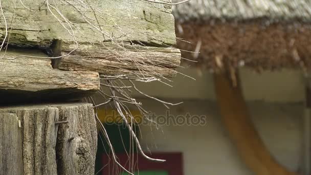 Contexte du bâtiment en bois 