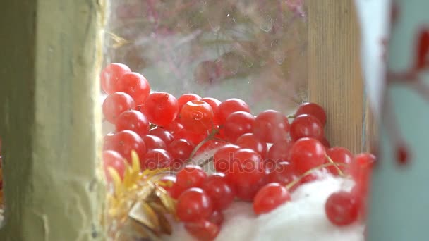 Berries Lying near the Window — Stock Video