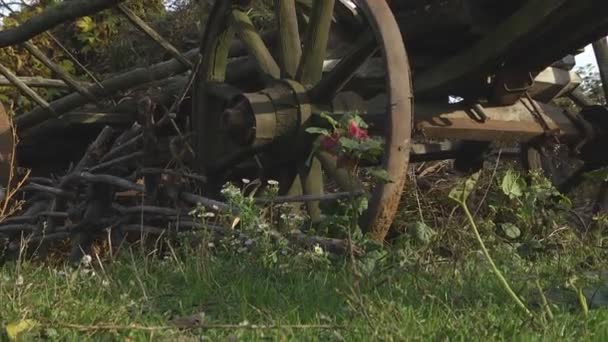 Ancien chariot pour le transport — Video