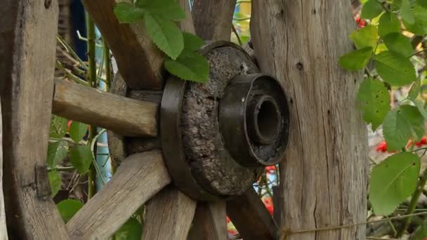 Старе дерев'яне колесо як прикраса — стокове відео