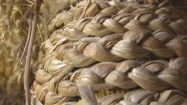 Kurutulmuş bitkiler konu dokuma