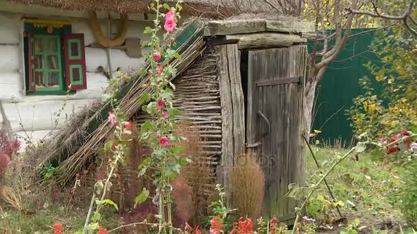 La vieille cave dans la cour — Video