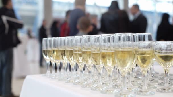 Glasses of Champagne Celebration — Stock Video