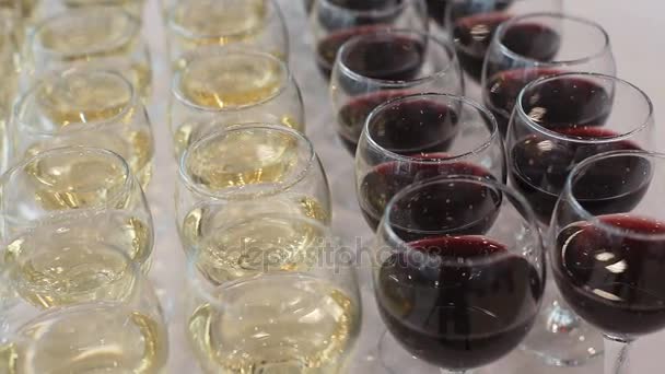 Glasses of Champagne Celebration — Stock Video