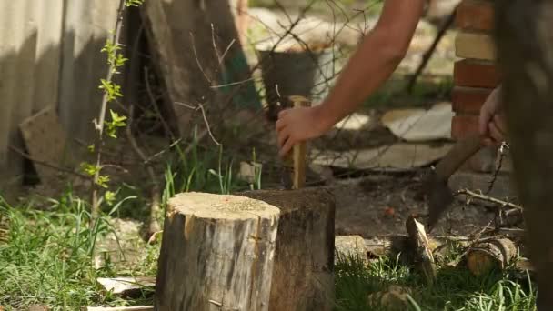 Ax Firewood Cutting — Stock Video