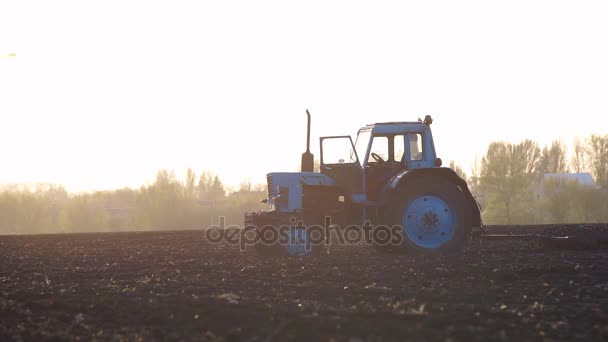 Campo de procesamiento del tractor — Vídeos de Stock