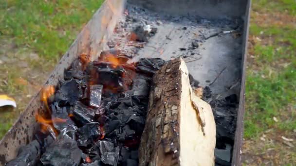 La carne se fríe en Mangal — Vídeo de stock