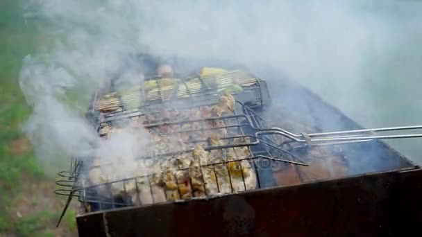 La carne se fríe en Mangal — Vídeo de stock