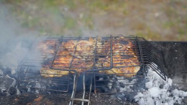 Κρέας είναι τηγανητό στο Mangal — Αρχείο Βίντεο