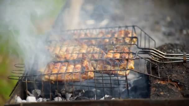 Köttet är stekt i Mangal — Stockvideo