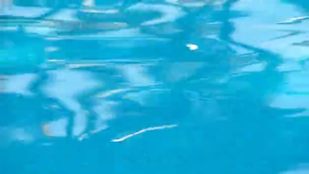 Acqua blu in piscina — Video Stock