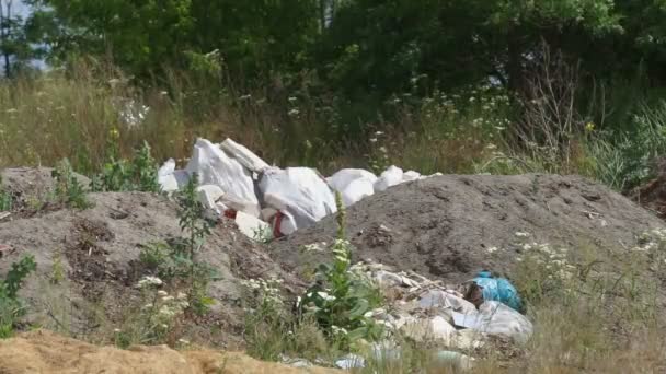 Экология мусорных свалок — стоковое видео