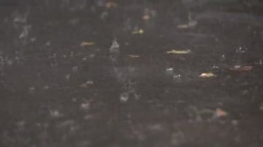 Yağmur damlaları su birikintileri düşmek