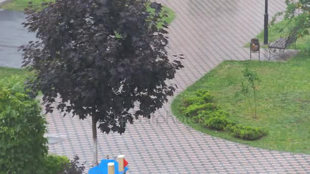 Chuva no Parque da Cidade — Vídeo de Stock