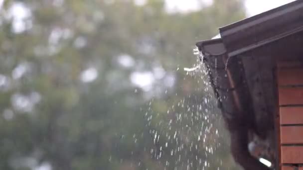 Дождь на крыше под дождем — стоковое видео