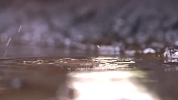 水坑里的脏滴 — 图库视频影像