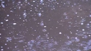 Yağmur damlaları su birikintileri düşmek