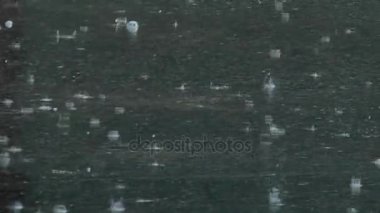 Yağmur damlaları su birikintileri düşmek