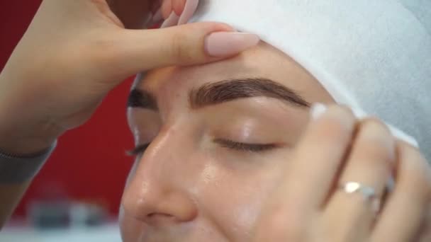 Artista de maquillaje profesional dibujando cejas de cliente con henna — Vídeo de stock