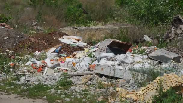 Garbage dump ecology — Stock Video