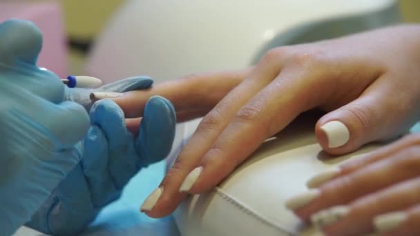 Manicure procedure salone — Video Stock