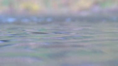 Mavi dalgalar üzerinde gölet yüzeyinin