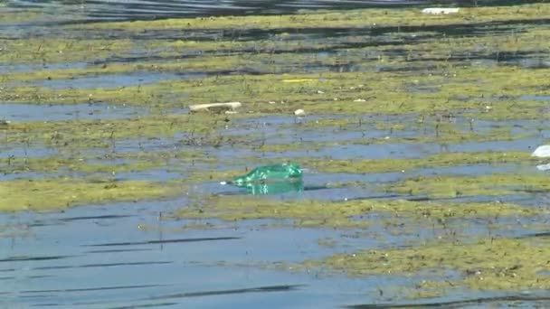 Lago e un sacco di spazzatura — Video Stock