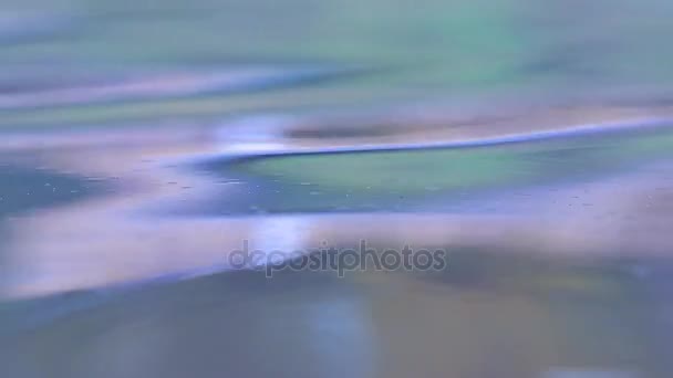 Blaue Wellen auf der Oberfläche des Teiches — Stockvideo