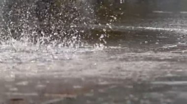 Çeşme yağmur damlaları