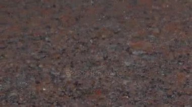 Çeşme yağmur damlaları