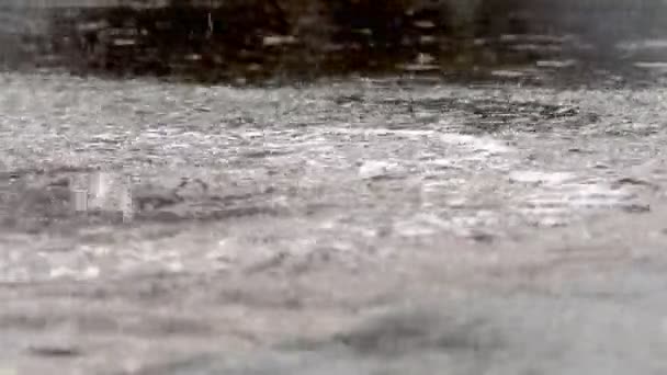 Gotas de lluvia de fuente — Vídeos de Stock