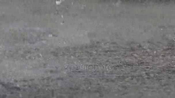 Gotas de chuva de fonte — Vídeo de Stock