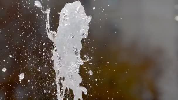 Gotas de chuva de fonte — Vídeo de Stock